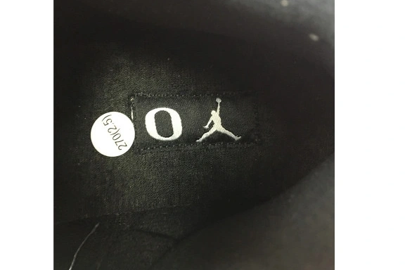 Jordan Oregon Retro Air 3 AJ3-902027 AJ3-902027 Duck 0410